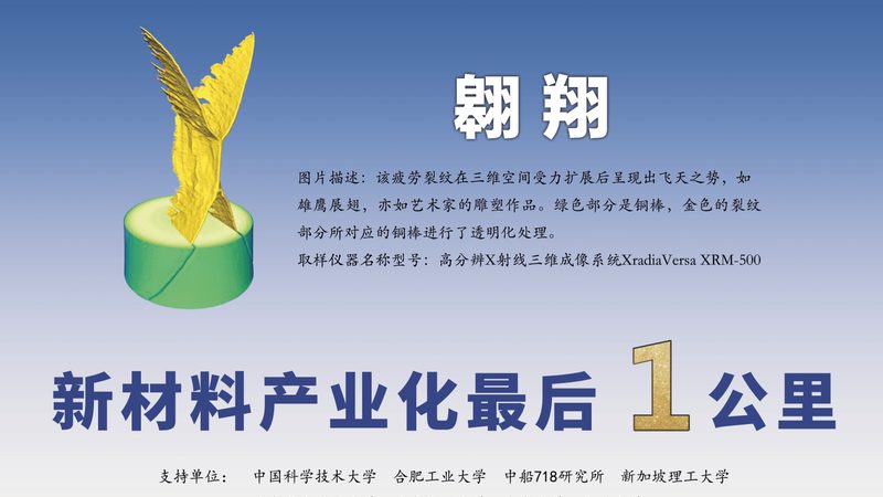 进口塑料原料如何规避潜在风险**