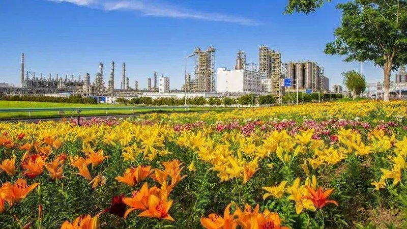 有机溶剂报价单样品申请步骤